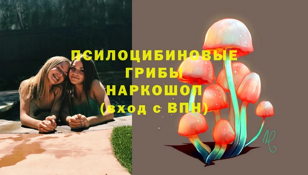 ГАЛЛЮЦИНОГЕННЫЕ ГРИБЫ Богородск