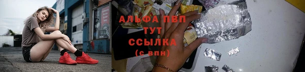 эйфоретик Белокуриха