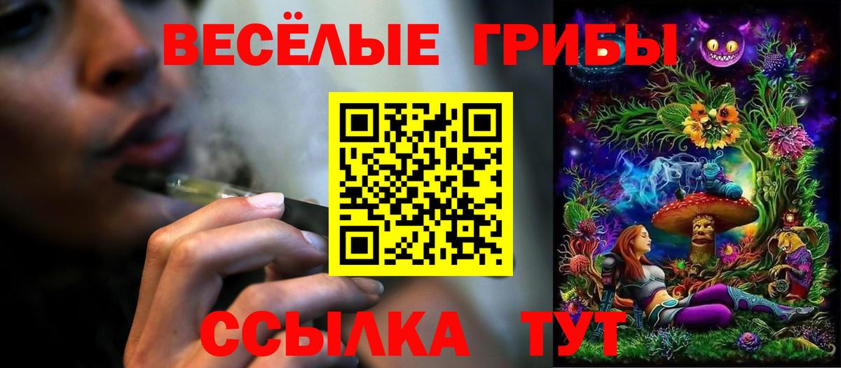 Галлюциногенные грибы Cubensis Великий Устюг