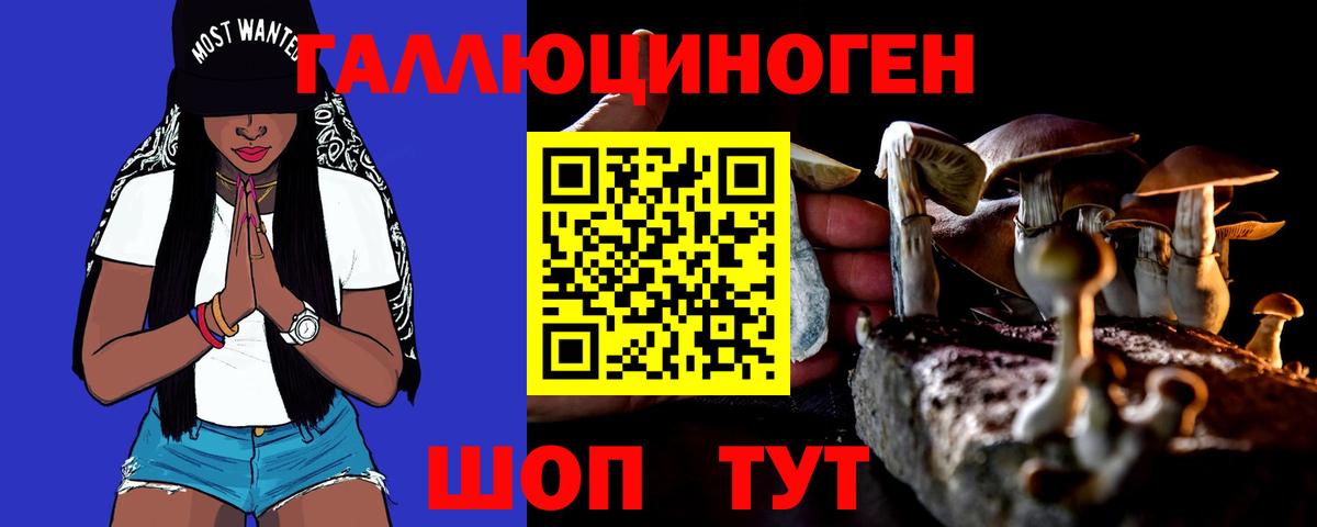 Галлюциногенные грибы Psilocybine cubensis  Вход с VPN  Великий Устюг 
